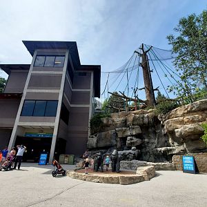 Aug. 2020 - Hubbard Orangutan Forest (From Below)