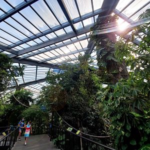 Aug. 2020 - Lied Jungle - Asia (General View)