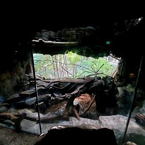 Aug. 2020 - Lied Jungle - Eurasian Eagle Owl Exhibit