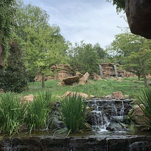Expedition Peru: Andean Bear Exhibit