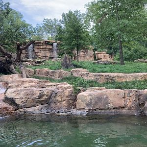 Expedition Peru: Andean Bear Exhibit