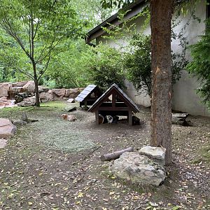 Expedition Peru: Guinea Pig Exhibit