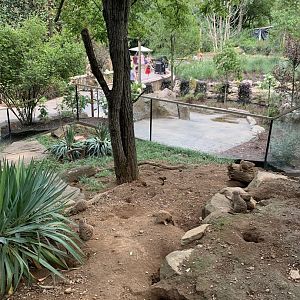 Meerkat Exhibit