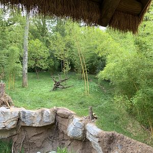 Tiger Crossroads: Sumatran Tiger Exhibit