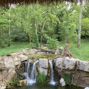 Tiger Crossroads: Sumatran Tiger Exhibit