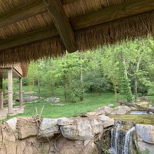Tiger Crossroads: Sumatran Tiger Exhibit