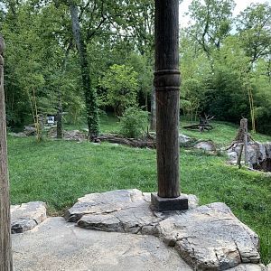 Tiger Crossroads: Sumatran Tiger Exhibit