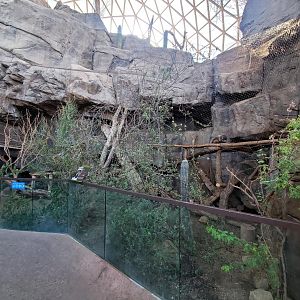 Aug. 2020 - Desert Dome - Sonoran Desert - Coati Exhibit