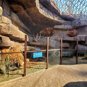 Aug. 2020 - Desert Dome - Sonoran Desert - Swift Fox Exhibit