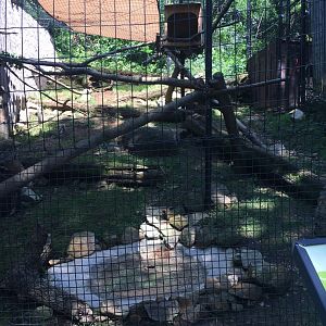 Brandywine Zoo - North American Porcupine Exhibit