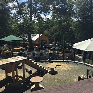 Brandywine Zoo - General View