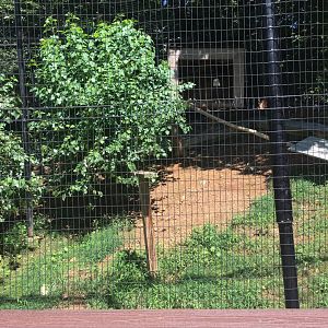 Brandywine Zoo - Bald Eagle/Common Raven Exhibit (2)