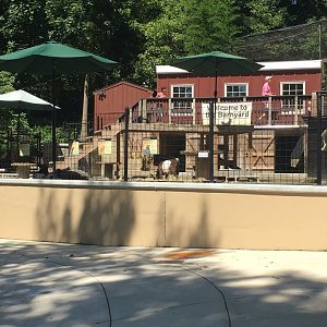 Brandywine Zoo - View of Barnyard