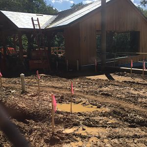 Brandywine Zoo - Madagascar Exhibit Construction