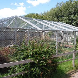 African civet enclosure 030820