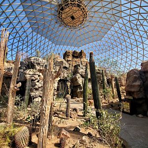 Aug. 2020 - Desert Dome - Sonoran Desert