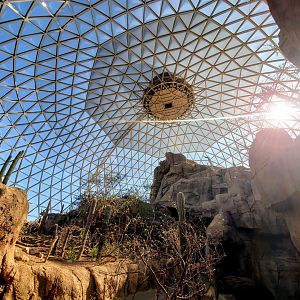 Aug. 2020 - Desert Dome - Sonoran Desert