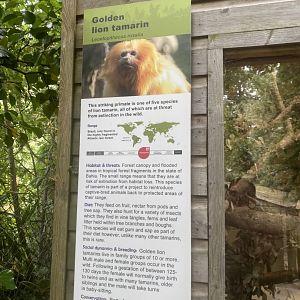 Signage example 050820