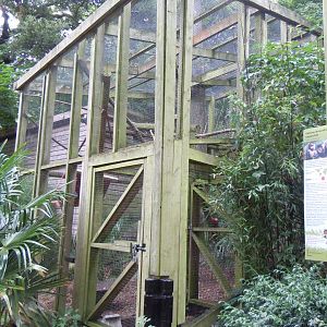 Yellow-breasted capuchin enclosure 050820