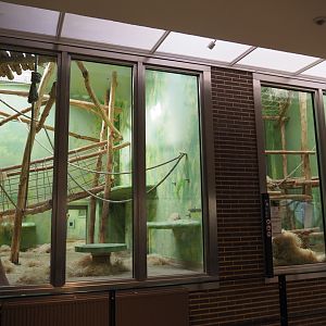 Part of the Chimpanzee indoor housing, 2020-06-28