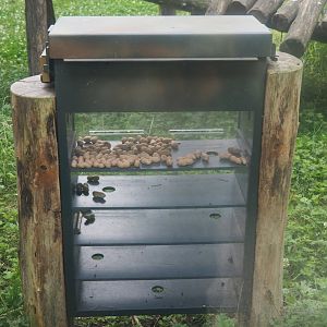 Ape enrichment feeder, 2020-06-28