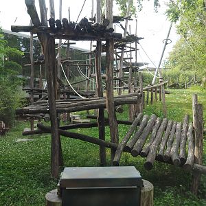 Western lowland gorilla and Eastern gorilla outdoor exhibit, 2020-06-28