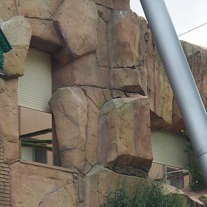 Holding aviaries for the birds of the Savanna aviary, 2020-06-28