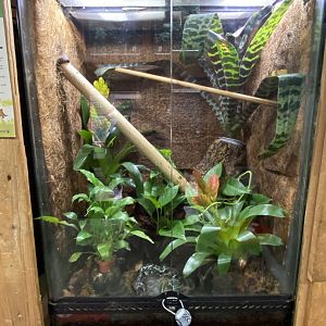 Example vivarium 050820