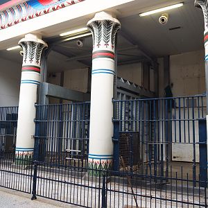 Egyptian Temple - Indoor housing Adolescent Asian elephant bulls, 2020-06-28