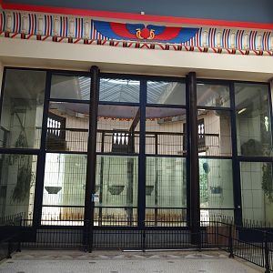 Egyptian Temple - Indoor housing Impure/Hybrid giraffes, 2020-06-28