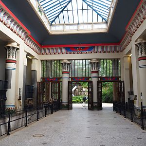 View in the Egyptian Temple, 2020-06-28