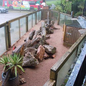 Meerkat enclosure 050820