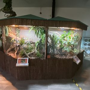 Reptile House vivaria 050820