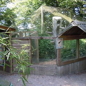Southern ground hornbill aviary 070820