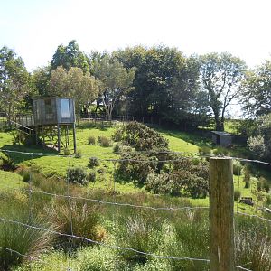 Sitatunga enclosure 070820