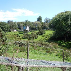 Sitatunga enclosure 070820