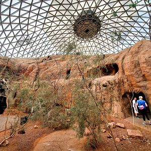 Aug. 2020 - Desert Dome - Australia's Red Center (Former Rock Wallaby Exhibit)