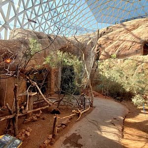 Aug. 2020 - Desert Dome - Australia's Red Center - 3 Species Aviary