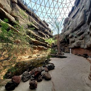 Aug. 2020 - Desert Dome - Namib Desert - Barrierless Teal Exhibit (4 Species)