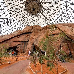 Aug. 2020 - Desert Dome - Namib Desert
