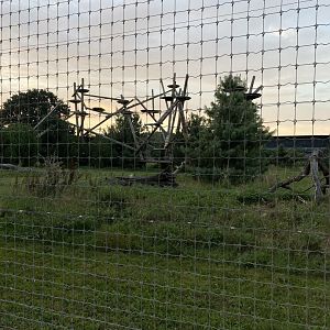 Leopard Heights Main Enclosure