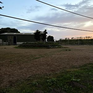 Giraffe paddock & house