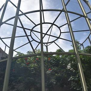 Scarlet Ibis and whistling duck aviary