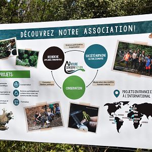 Montpellier Conservation efforts