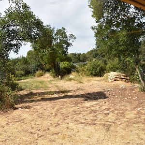 First cheetah exhibit