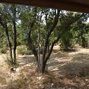 Fourth cheetah exhibit