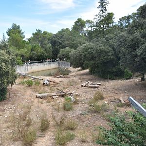 Syrian brown bear exhibit