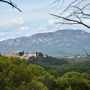 View from the Zoo: Montelimar with the Pic Saint-Loup behind