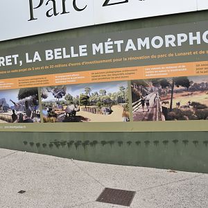 The Zoo's developments to come