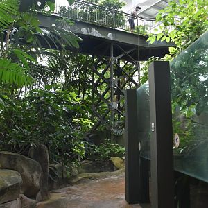 Rainforest Hall view upon entering